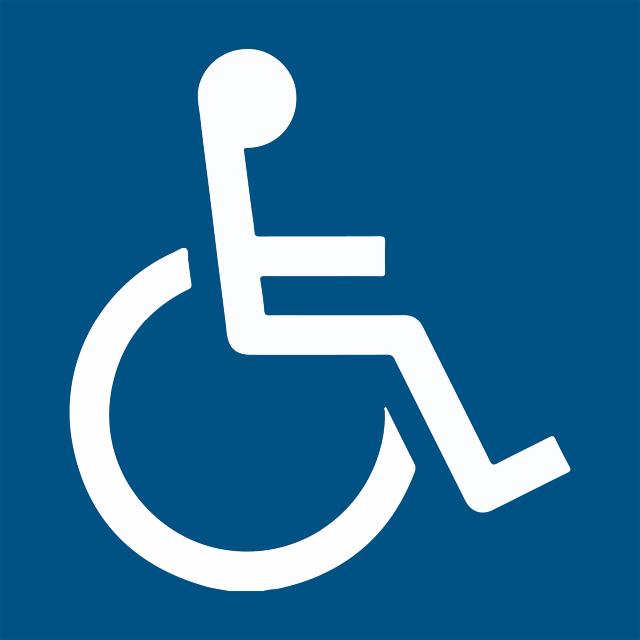 Panneau d'information - Accès aux personnes handicapées et à mobilité réduite, 100 x 100 mm